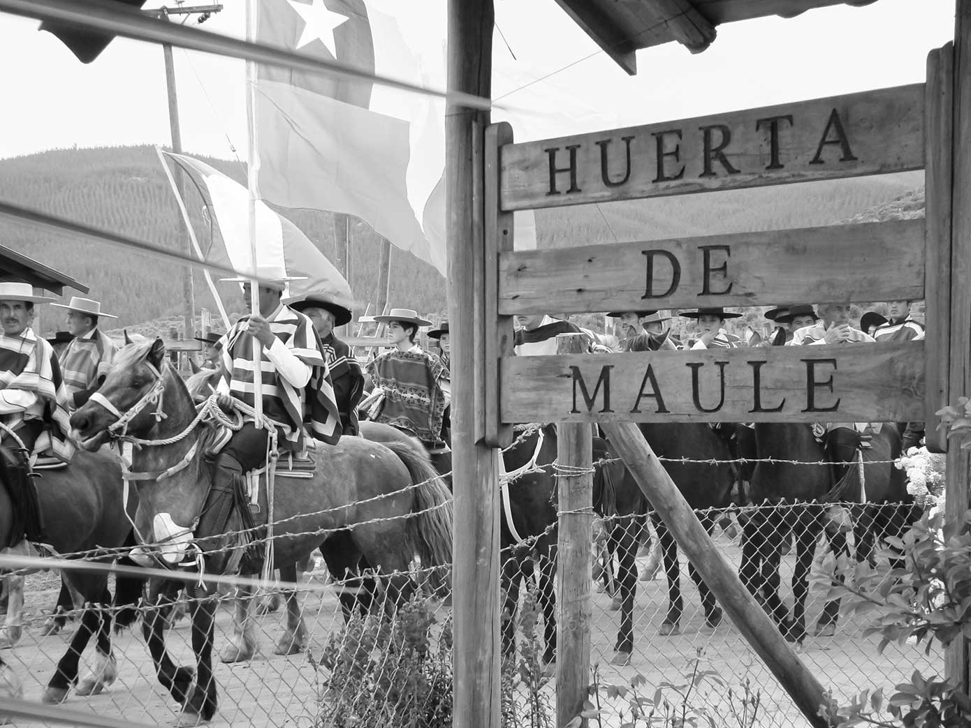 huerta_de-maule_17